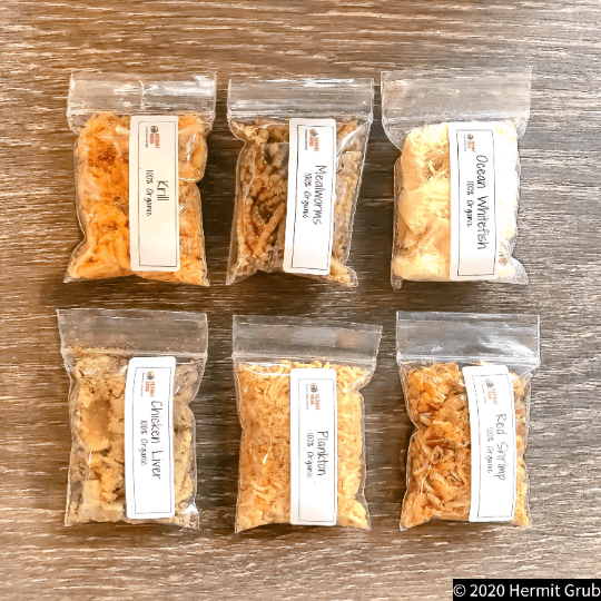 Protein 6 Piece Set #1