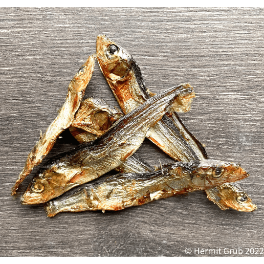 Wild Caught Baltic Sprat