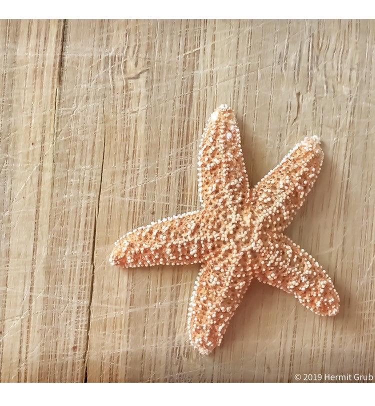 Sugar Starfish