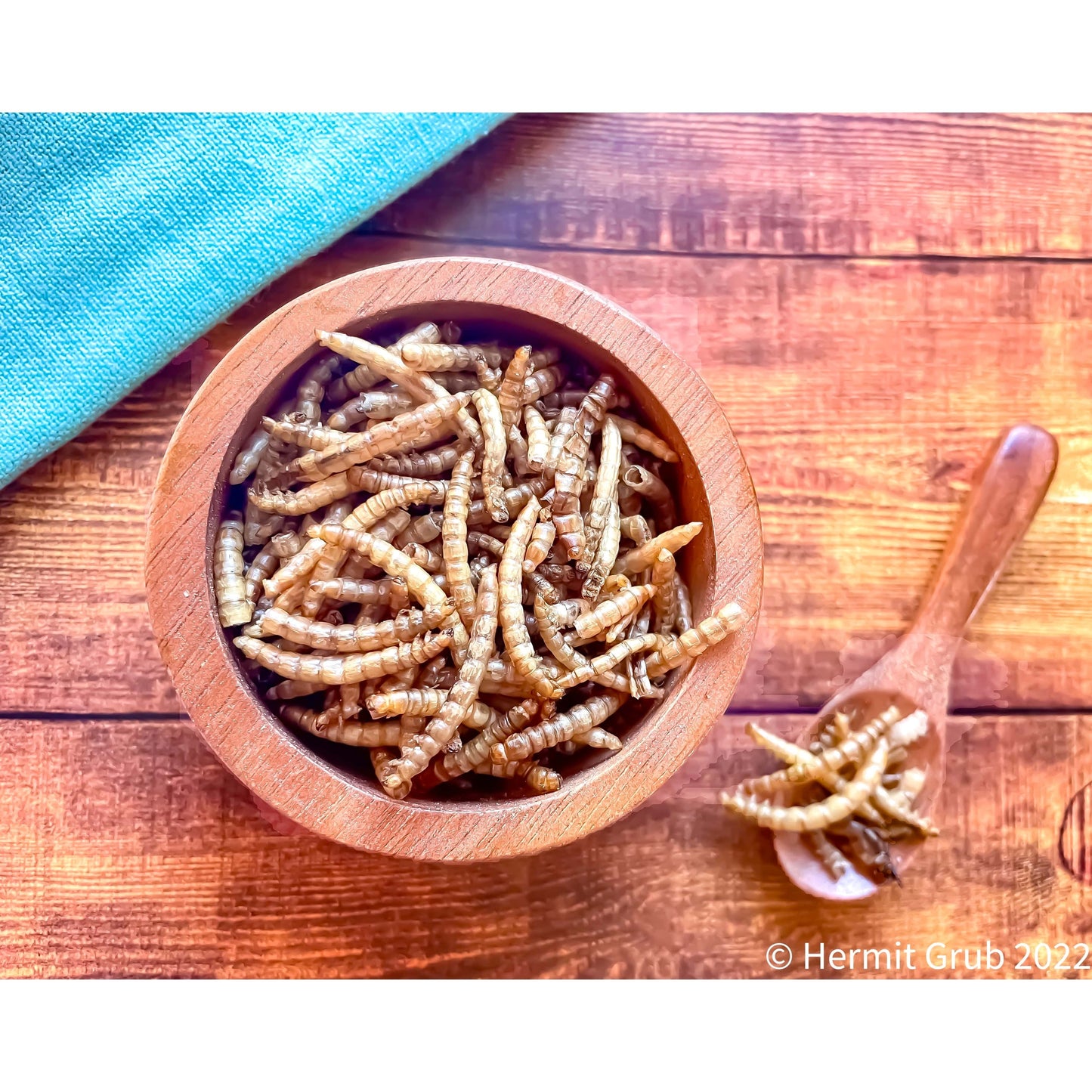Mealworms