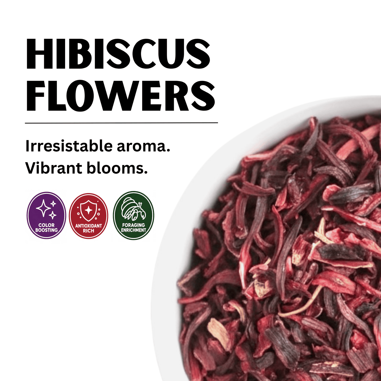 Hibiscus Flowers