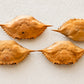 Blue Crab Shell (Whole)