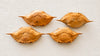 Blue Crab Shell (Whole)
