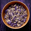 Blue Malva Flowers
