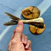 Freeze-Dried Mackerel
