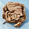 Freeze-Dried Whole Octopus for Hermit Crabs