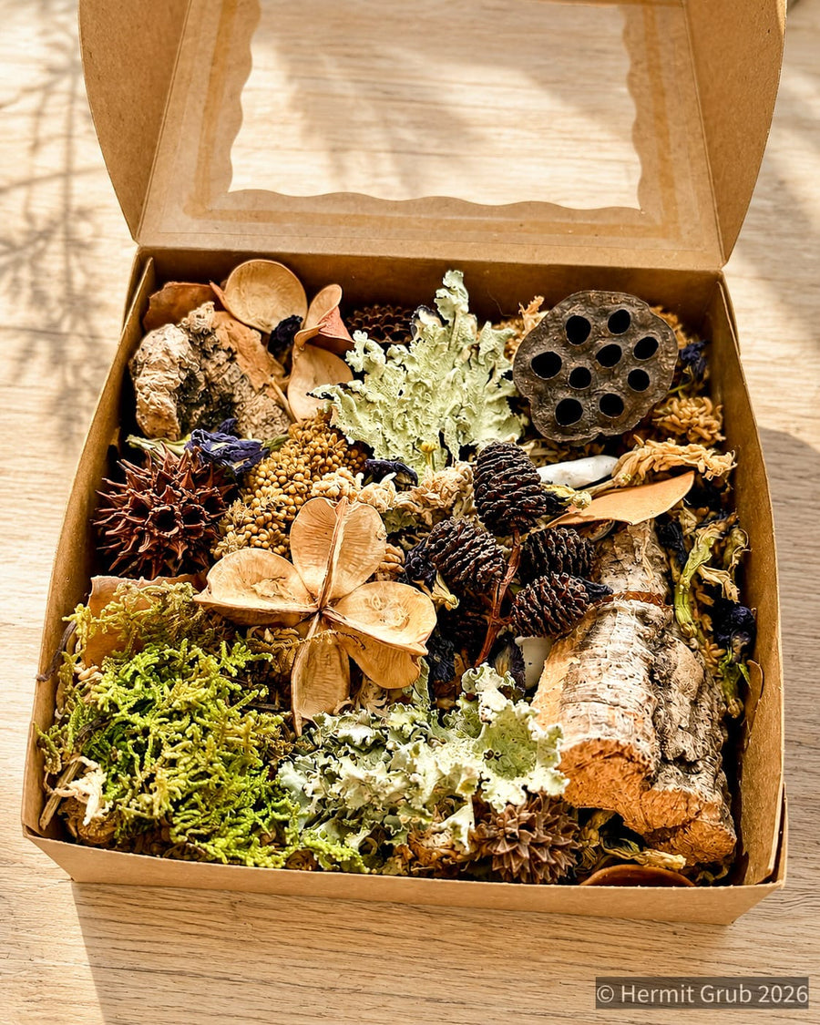 Woodland Forager Box