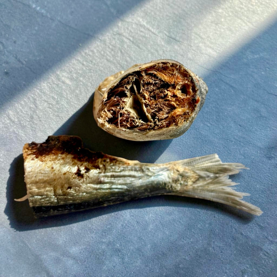 Freeze-Dried Sardines