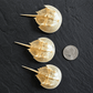 Horseshoe Crab Molt