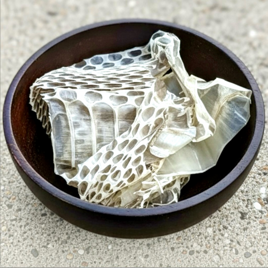 Snake Shed