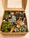 Woodland Forager Box