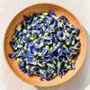 Blue Butterfly Pea Flower
