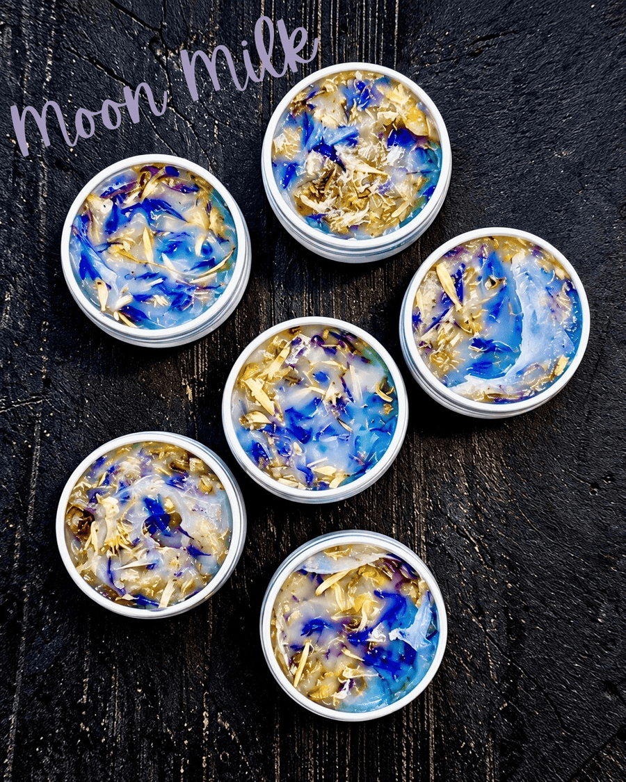 Infused Tallow for Hermit Crabs | Individual Tins | 5 Flavors