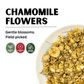 Chamomile Flowers