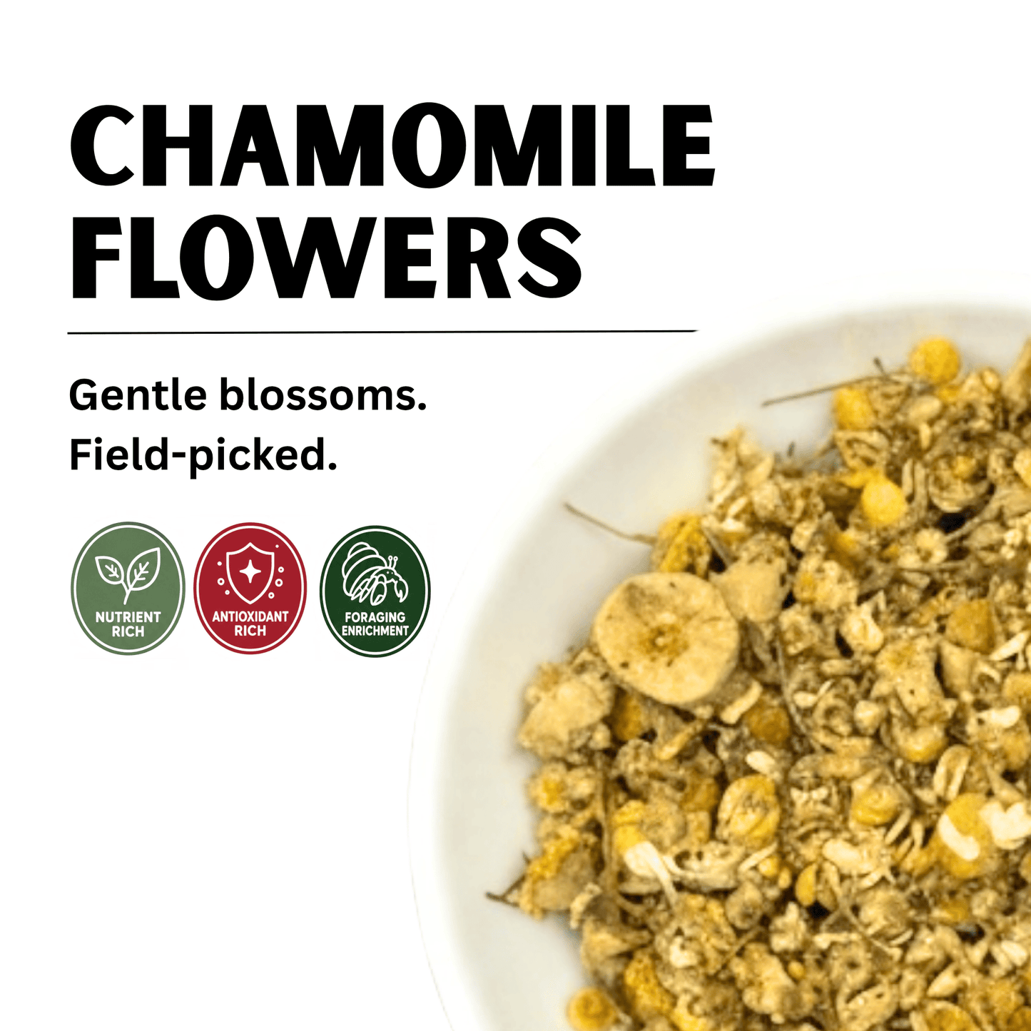 Chamomile Flowers