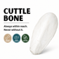 Cuttlebone | Natural Calcium Source