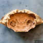 Blue Crab Shell (Whole)
