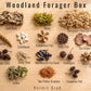 Woodland Forager Box