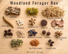 Woodland Forager Box