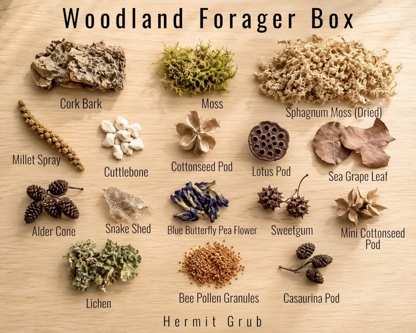 Woodland Forager Box