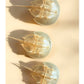 Baby Horseshoe Crab Molt