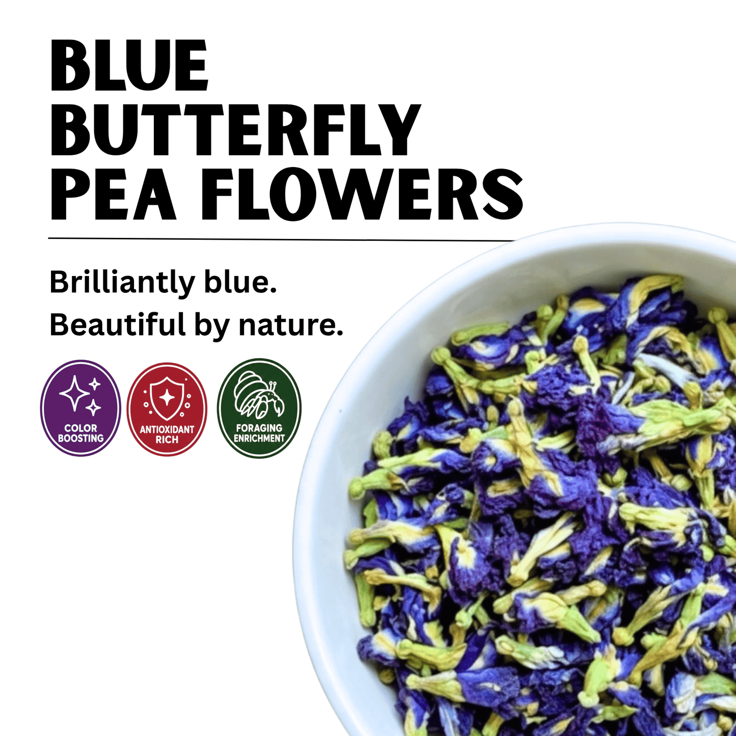Blue Butterfly Pea Flower