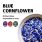 Blue Cornflowers