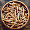 Mealworms