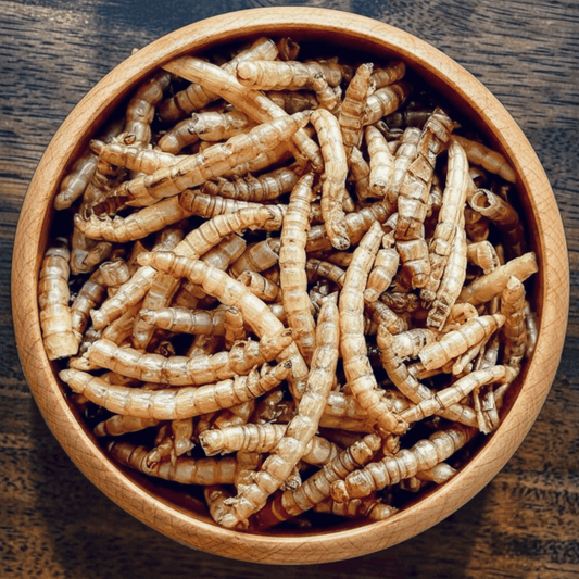 Mealworms