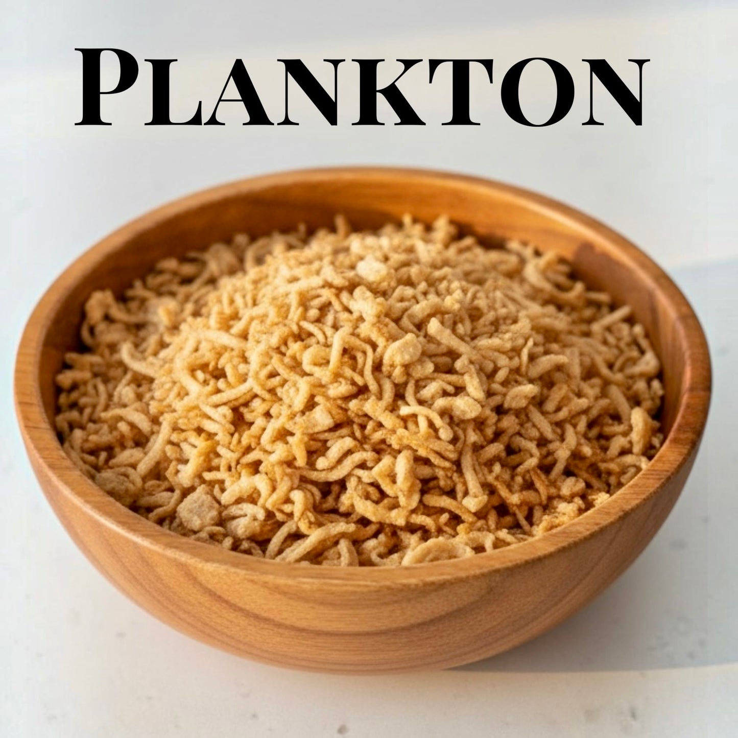 Plankton