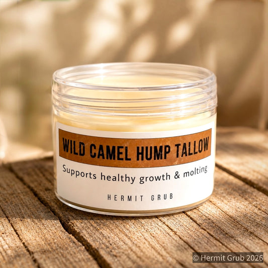 Wild Camel Hump Tallow