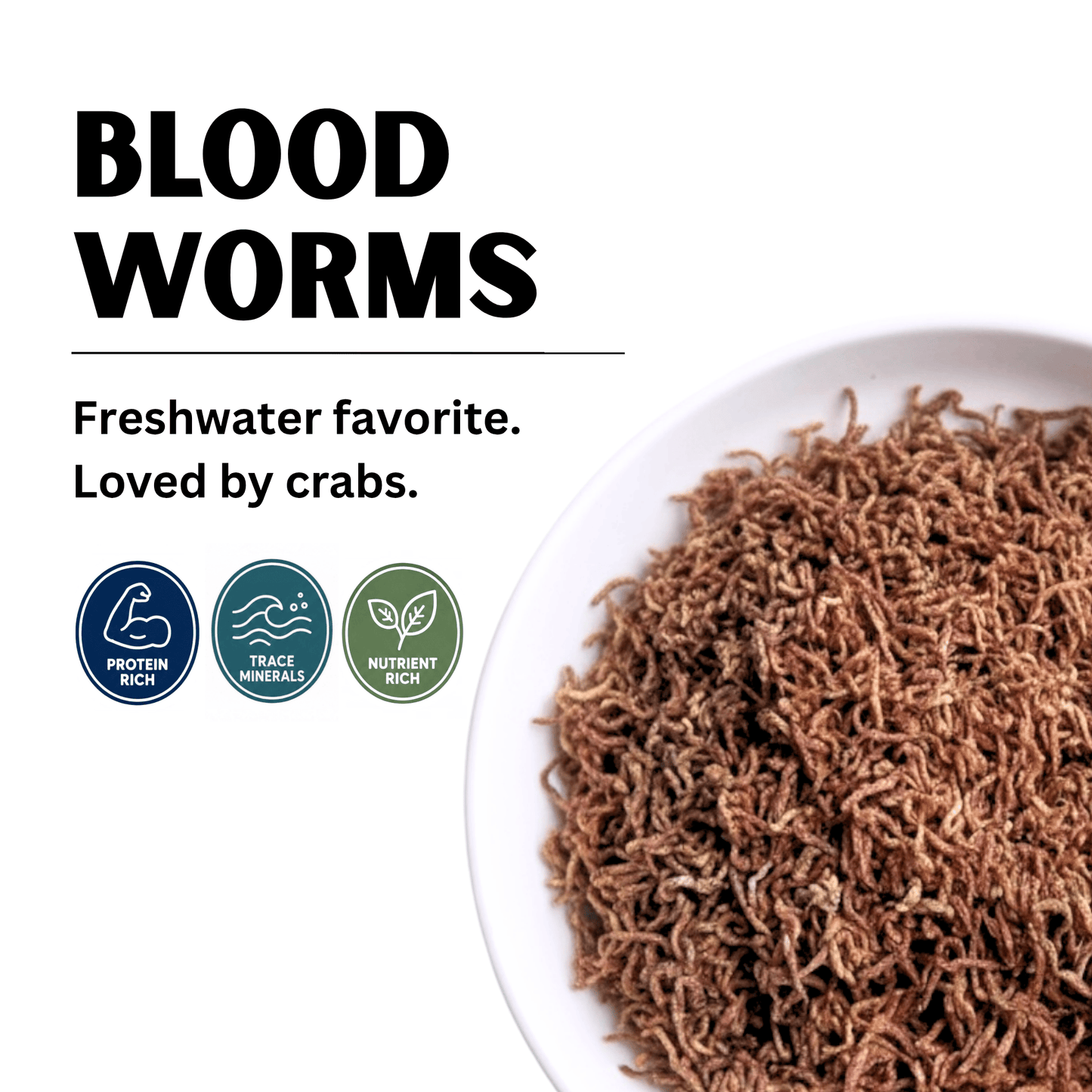 Bloodworms