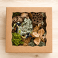 Woodland Forager Box
