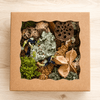 Woodland Forager Box