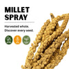 Millet Spray