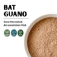 Bat Guano