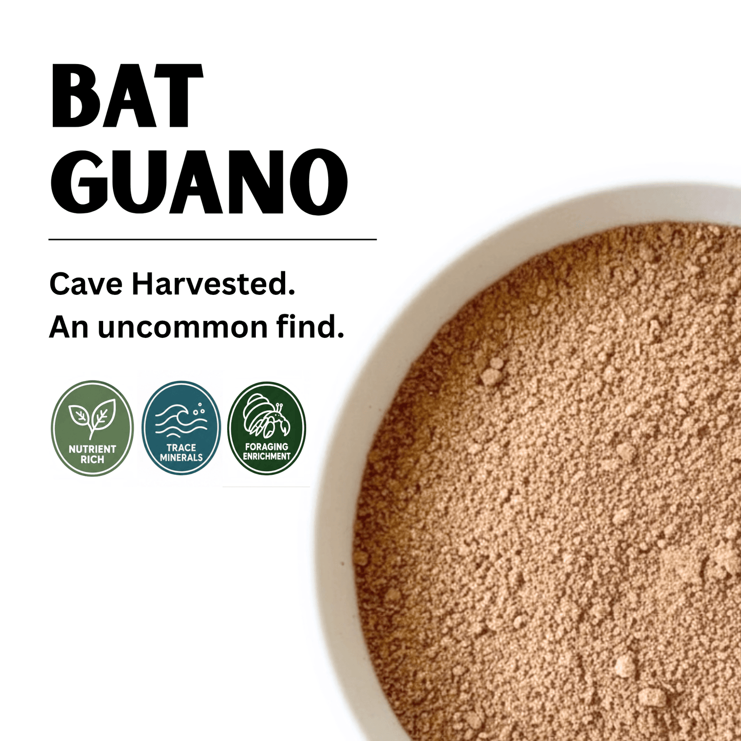 Bat Guano