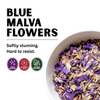 Blue Malva Flowers