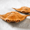 Blue Crab Shell (Whole)