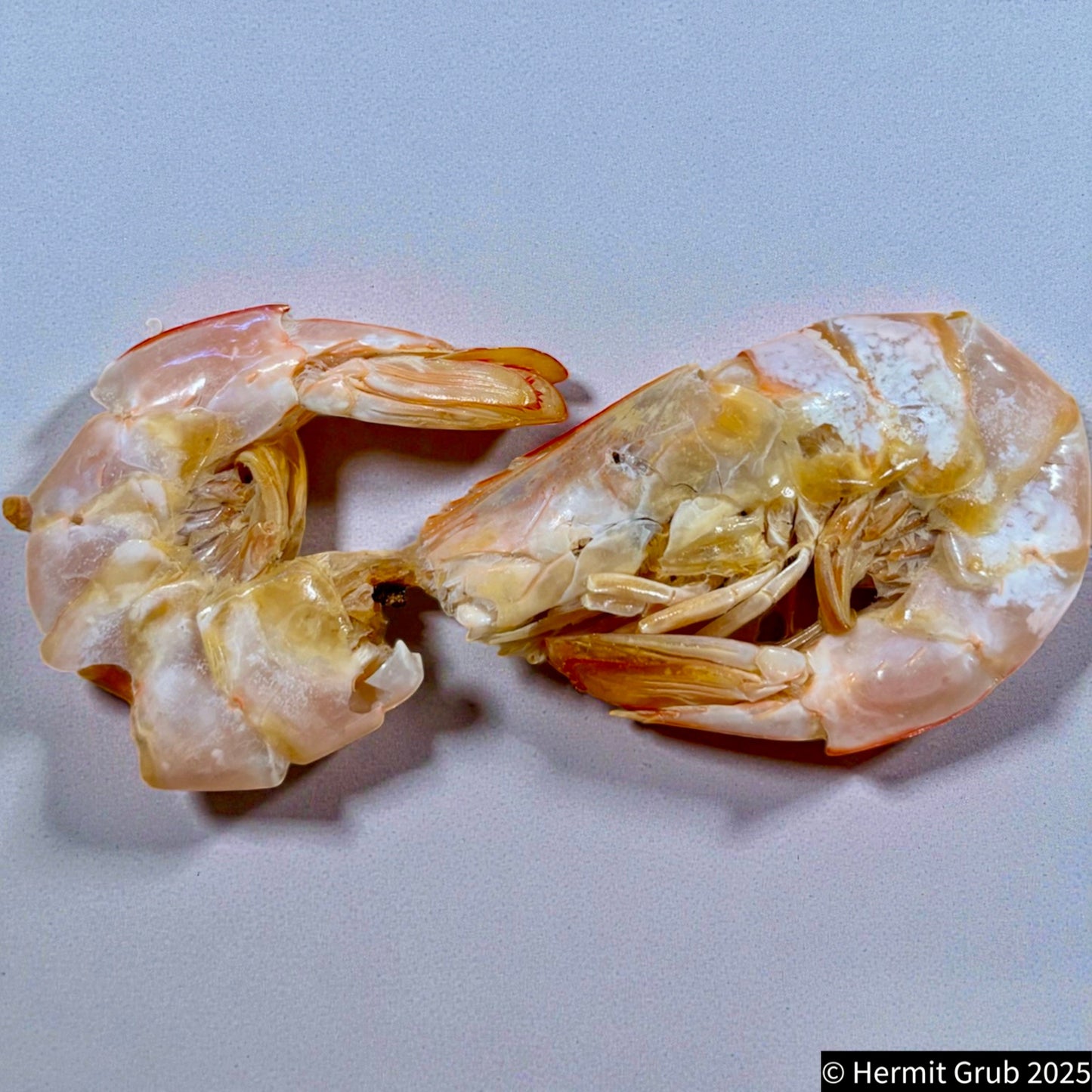 Jumbo Australian Prawns