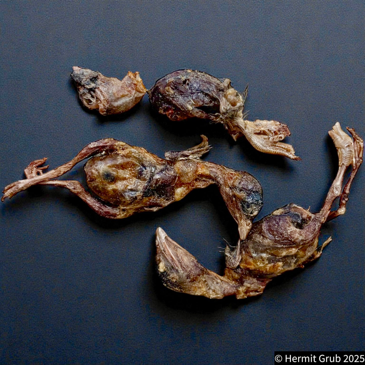 Freeze Dried Whole Quail