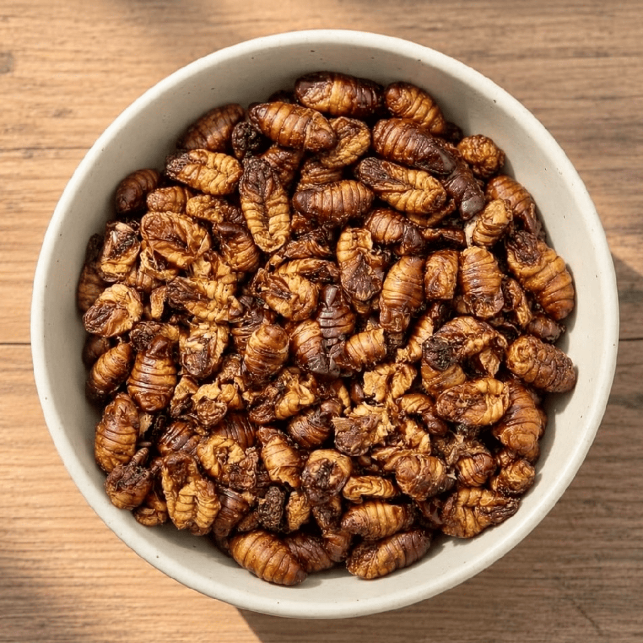 Silkworm Pupae