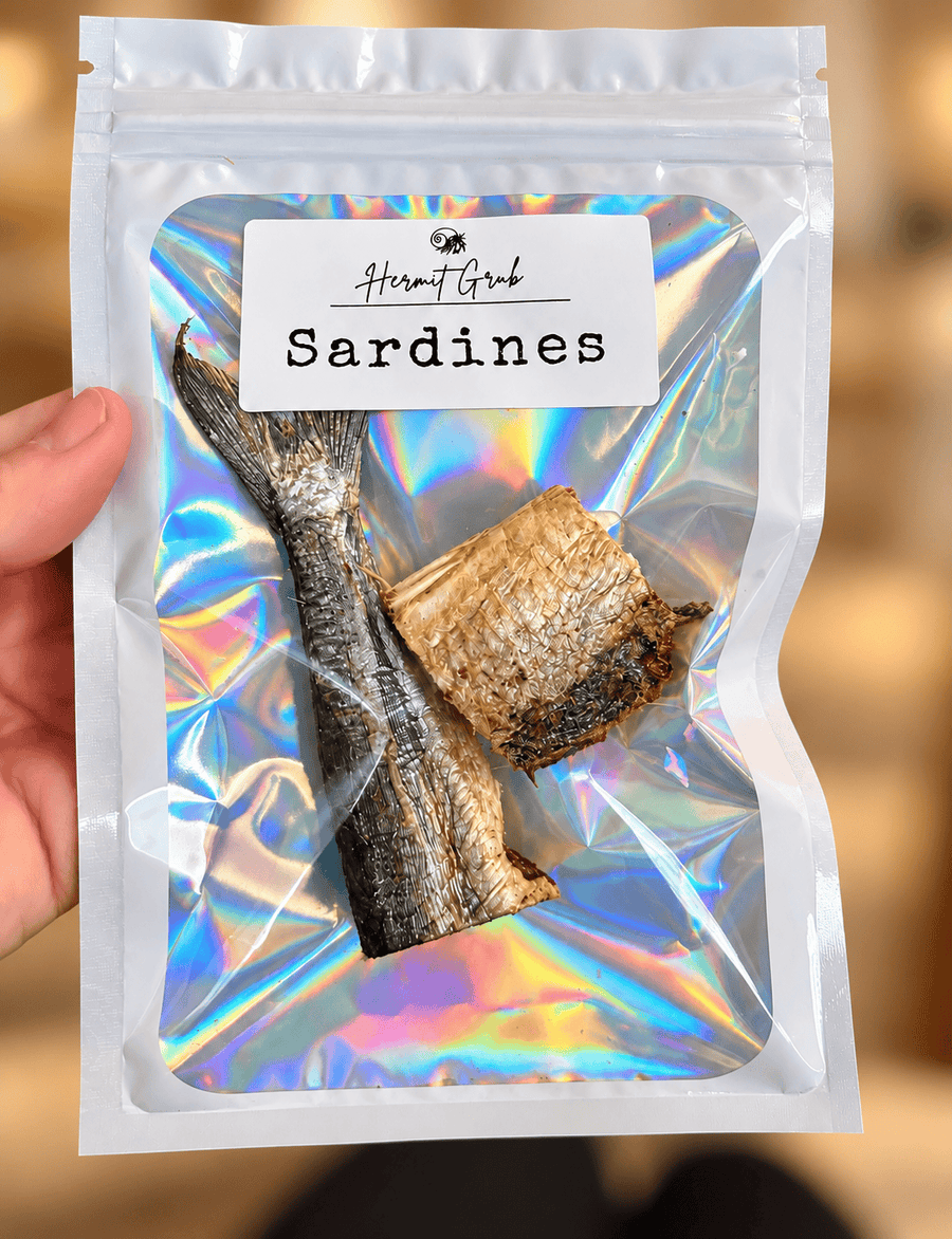 Sardines