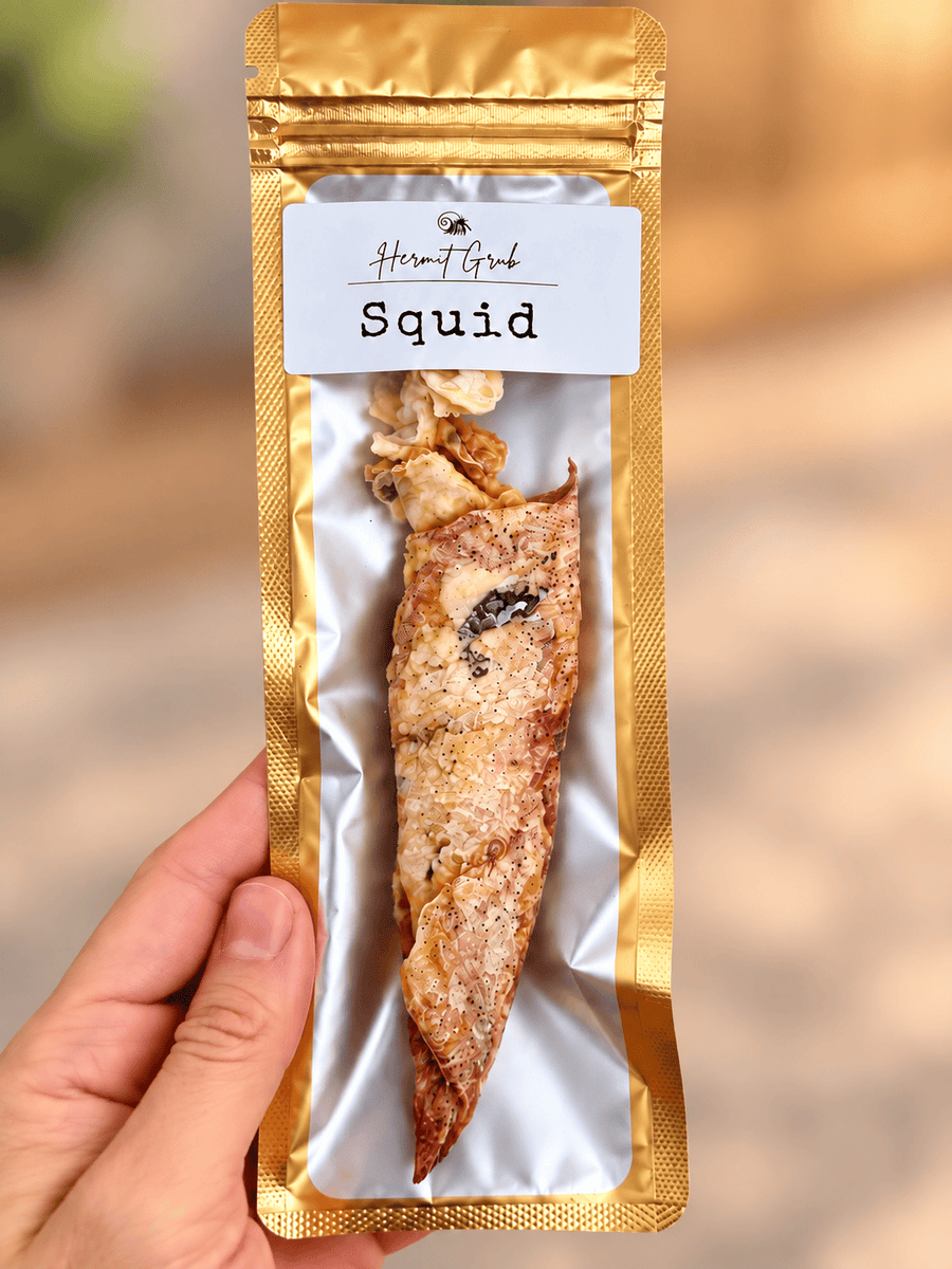 Squid